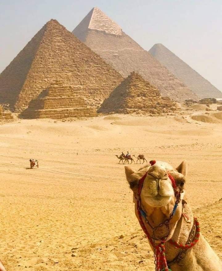 Cairo Tours From Hurghada By Car