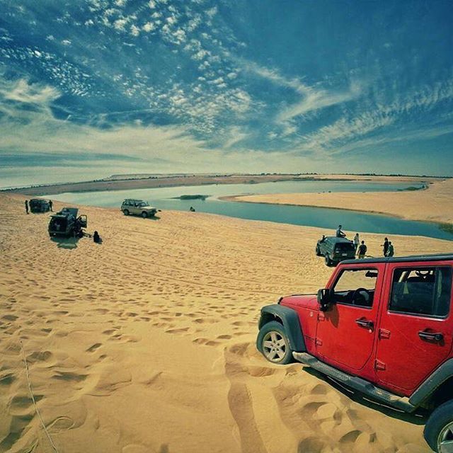 Safari Tours From Soma Bay