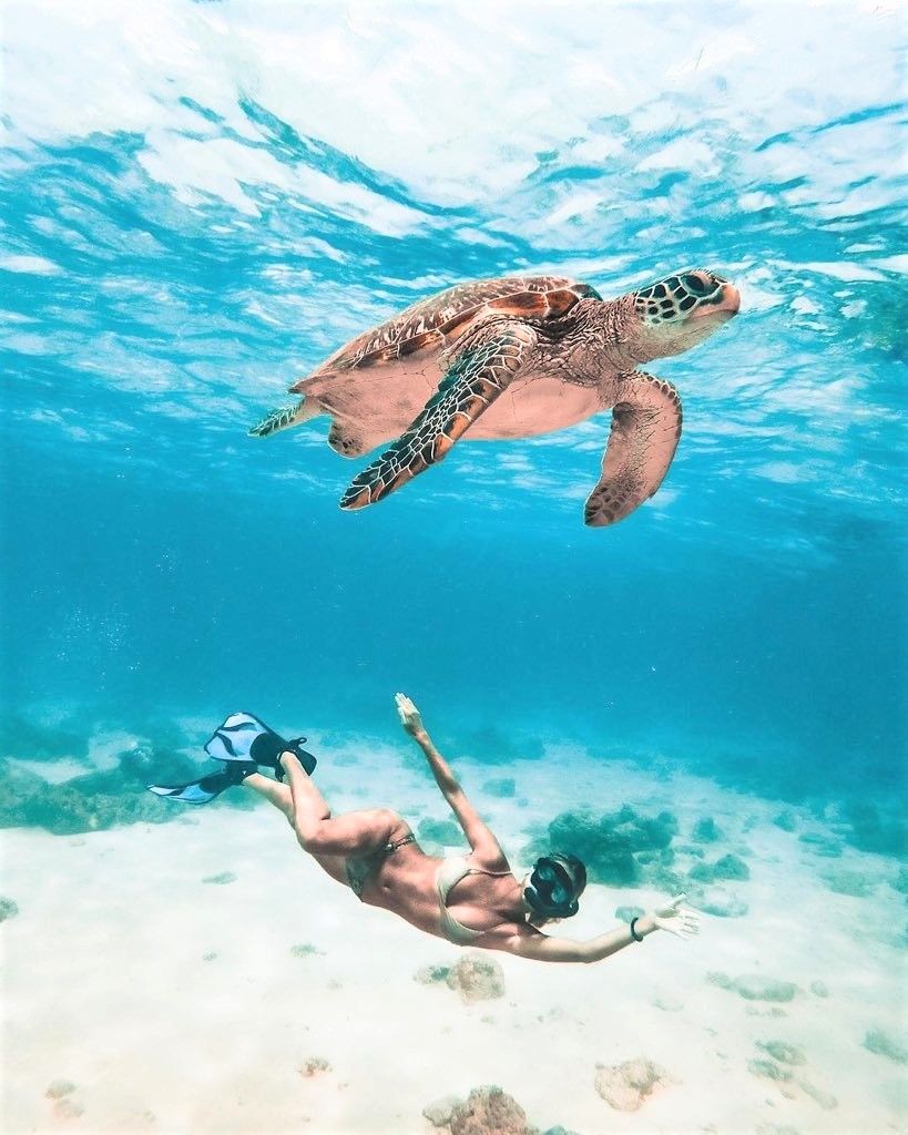 Marsa Alam Excursions