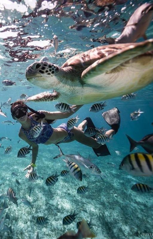 Marsa Alam Tours from Hurghada