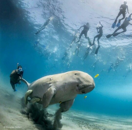 Marsa Alam Excursions