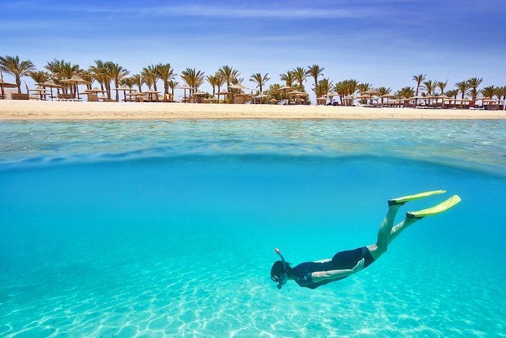 Marsa Alam Tours from Makadi Bay