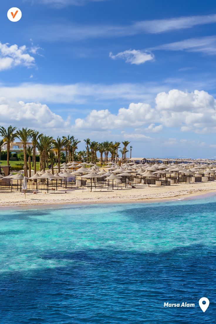 Top Rated Tours From Marsa Alam