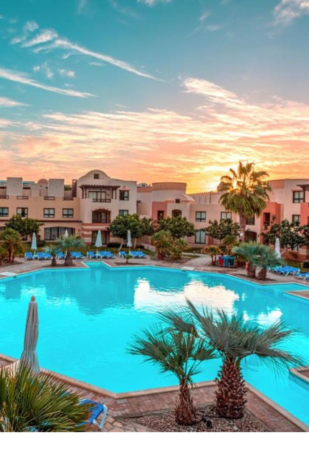 Top Rated Tours From Port Ghalib