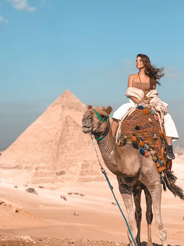 Top Rated Tours From Cairo
