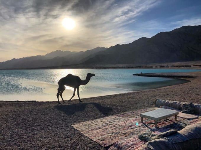 Red Sea Mountains Egypt: Travel Guide & Desert Adventures