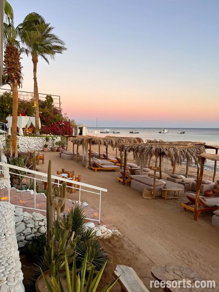 Makadi Bay Egypt: Ultimate Travel Guide 2026