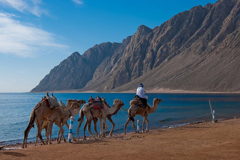Red Sea Mountains Egypt: Travel Guide & Desert Adventures